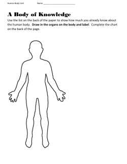 How Does the Body Make Blood?