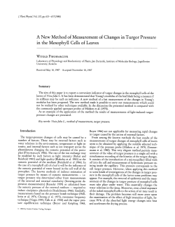A new method of measurement of changes in turgor pressure in the