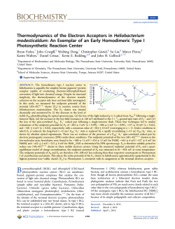 Thermodynamics of the Electron Acceptors in