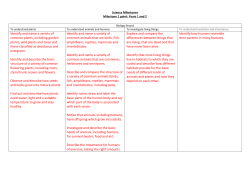 Identify and name a variety of common plants, including garden