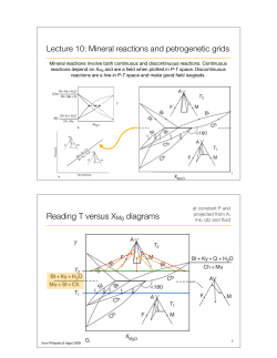 Lecture 10: Mineral reactions and petrogenetic grids Reading T