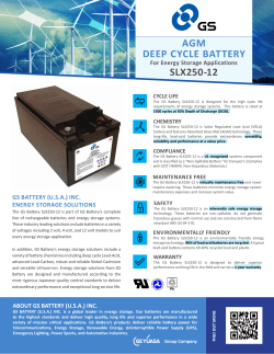 agm deep cycle battery slx250-12