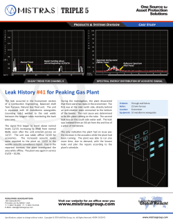Leak History #41 for Peaking Gas Plant