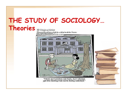 the study of sociology