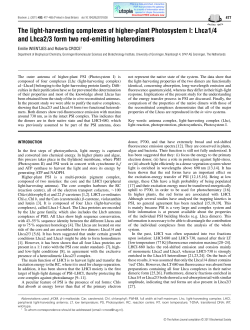 The light-harvesting complexes of higher