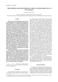 Light utilisation and thermal dissipation in light- and - Vitis-vea