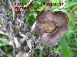 Diagnosis of Treatment Planing in Endo