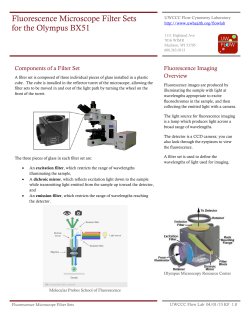 Fluorescence Microscope Filter Sets for the Olympus