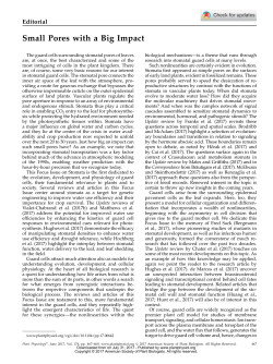 Small Pores with a Big Impact