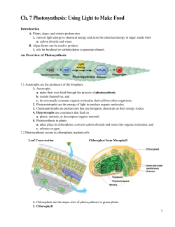Chapter 7 Notes