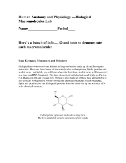 hapmacromoleculeLab