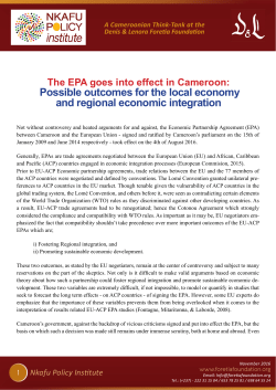The EPA Goes Into Effect &ndash; Possible Outcomes for the Cameroonian