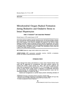 Mitochondrial Oxygen Radical Formation during Reductive and
