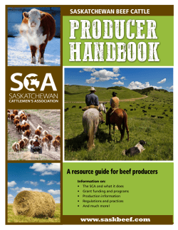 A resource guide for beef producers