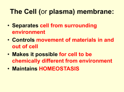 The Cell (or plasma) membrane