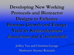 Developing New Working Protocols and Bioreactor
