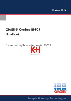 QIAGEN OneStep RT