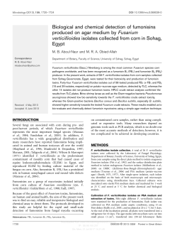 Biological and chemical detection of fumonisins produced on agar