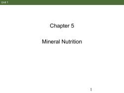 Mineral nutrition 2 ppt