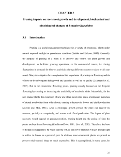 CHAPTER 3 Pruning impacts on root