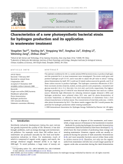Characteristics of a new photosynthetic bacterial