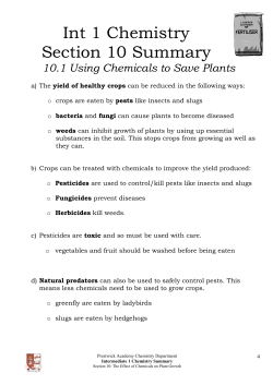 activity sheets - Prestwick Academy