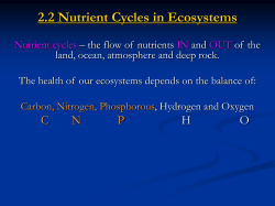 2.2 Nutrient Cycles in Ecosystems
