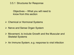 Comparison of the endocrine and nervous - LC Biology 2012-2013