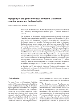 Phylogeny of the genus Percus (Coleoptera: Carabidae) &ndash; nuclear