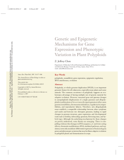 Genetic and Epigenetic Mechanisms for Gene Expression and