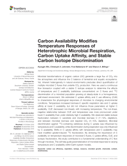 Carbon Availability Modifies Temperature Responses of