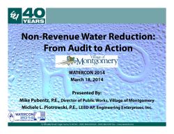Non-Revenue Water Reduction: From Audit to Action