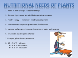 Nutritional Needs of plants