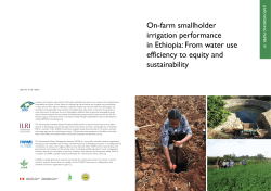 On-farm smallholder irrigation performance in - CGSpace