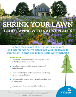 Shrink Your Lawn - Landscaping with Native Plants