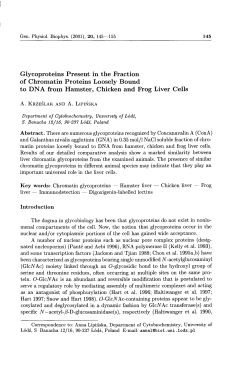 Glycoproteins Present in the Fraction of Chromatin Proteins Loosely