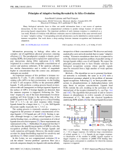 Principles of Adaptive Sorting Revealed by In