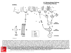 Slide 1 - Ommbid.com