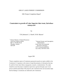 Constraints to growth of Lake Superior lake trout, Salvelinus