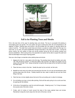 October 2009: Fall is for Planting Trees and Shrubs