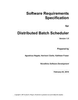 IEEE Software Requirements Specification Template