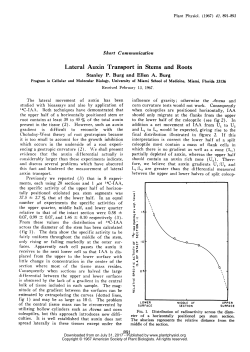 Lateral Auxin Transport in Stems and Roots