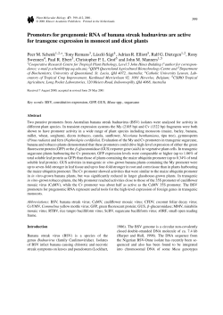 Promoters for pregenomic RNA of banana streak badnavirus are