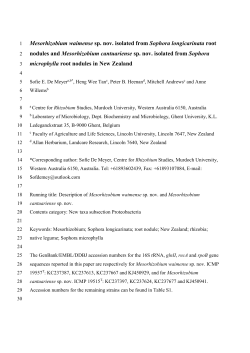 Mesorhizobium waimense sp. nov. isolated from Sophora