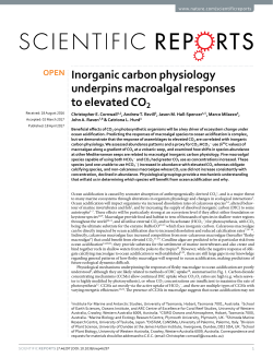 Inorganic carbon physiology underpins macroalgal responses to
