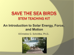 Save The Sea Birds STEM Teaching kit