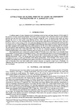 attraction of flying insects to light of different wavelengths in a