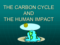 the carbon cycle and global warming