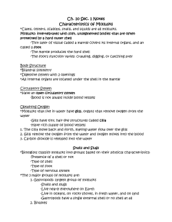 Ch. 10 Sec. 1 Notes Characteristics of Mollusks