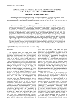 COMPARATIVE ANATOMICAL INVESTIGATIONS ON SIX ENDEMIC